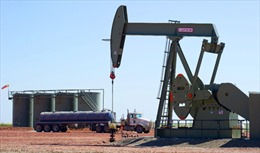 Nguyên nhân nhu cầu và giá dầu mỏ giảm mạnh